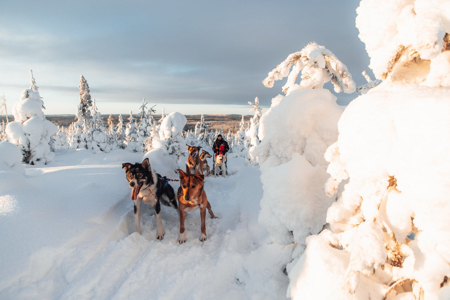 OTPAbenteuer - Finnland 2024