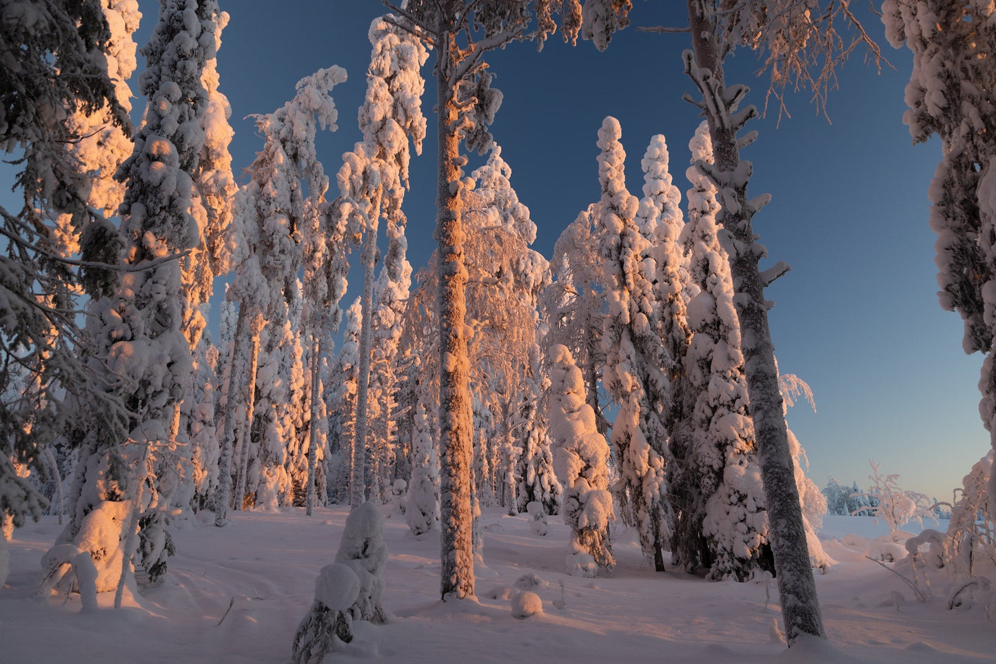 OTPAbenteuer - Finnland 2024