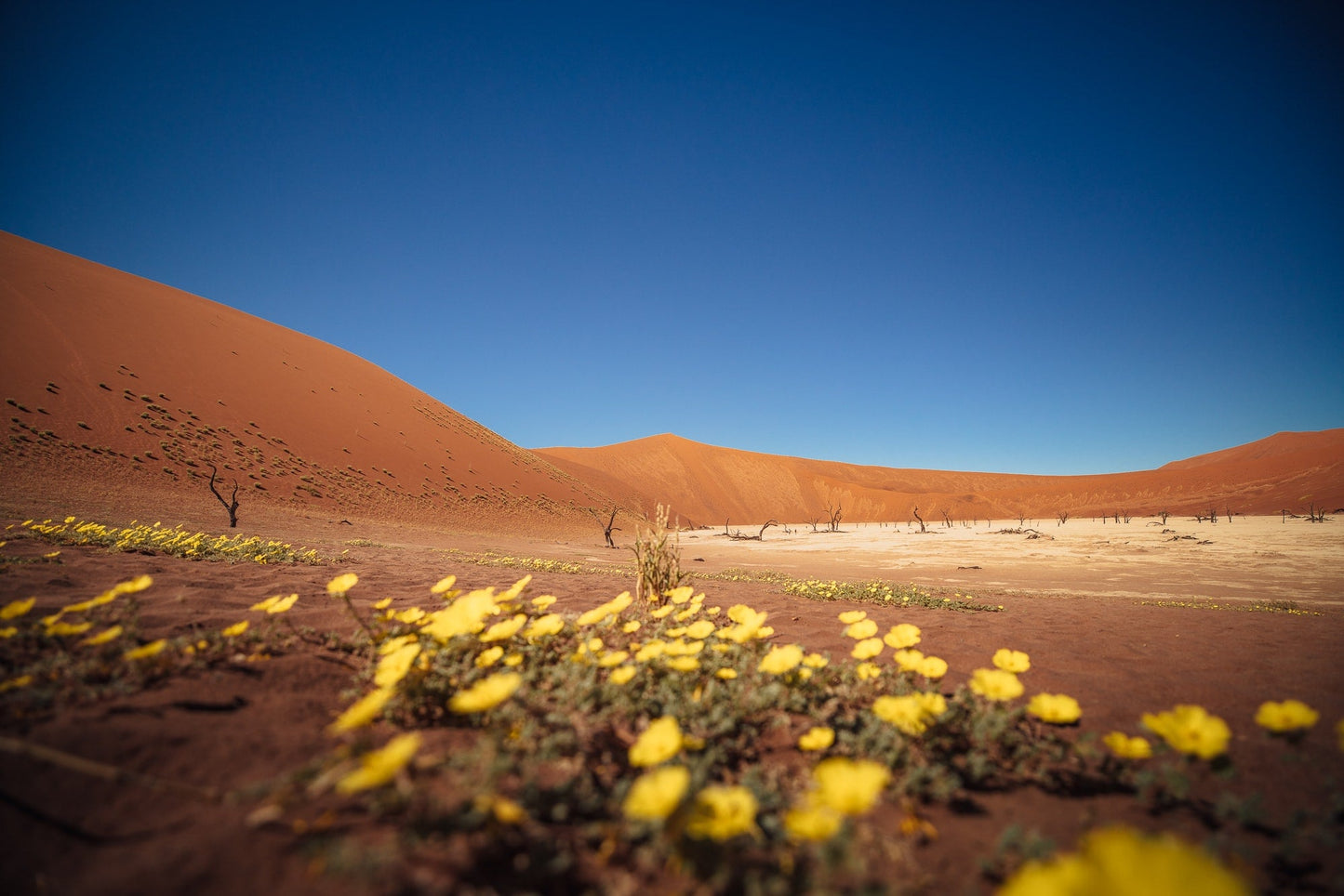 OTPAbenteuer - Namibia 2024